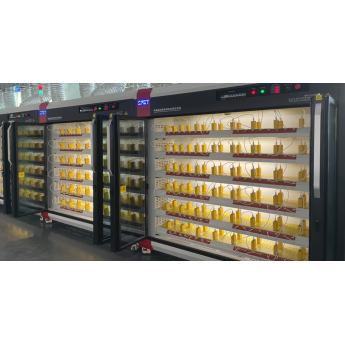 Vision of The Future