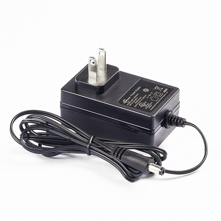 24 Watt LED Power Adapter